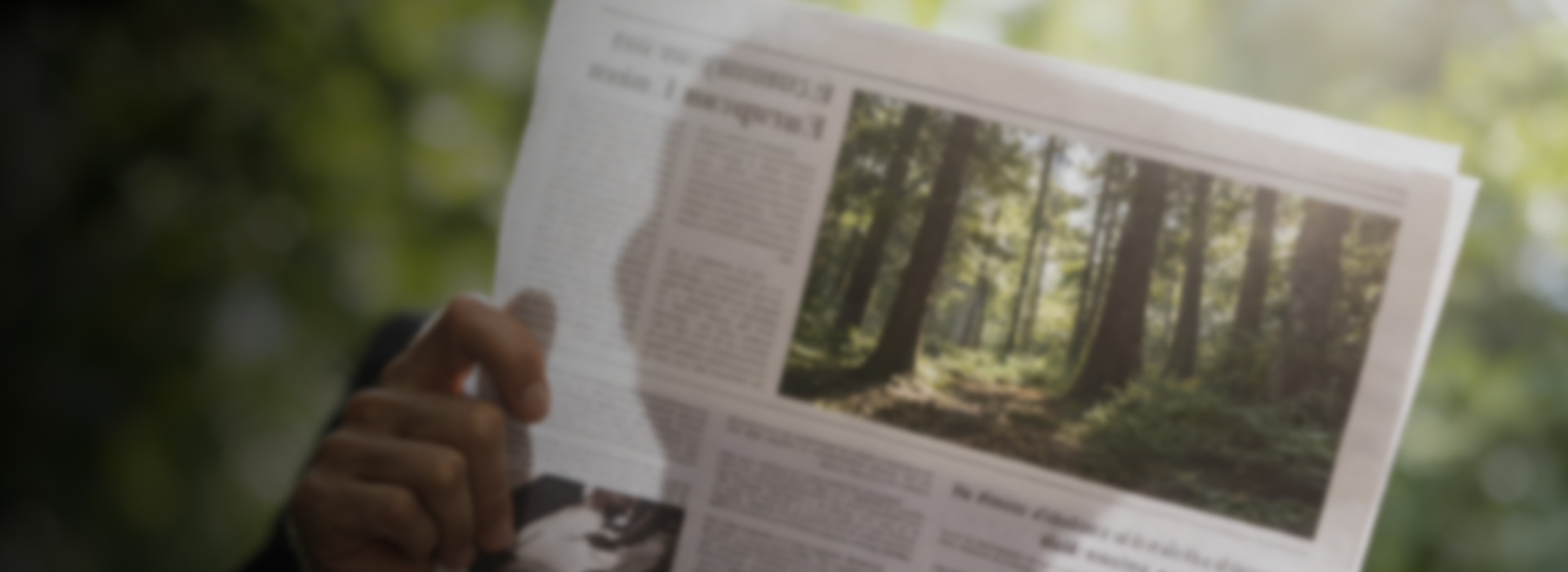 木业公司新闻动态