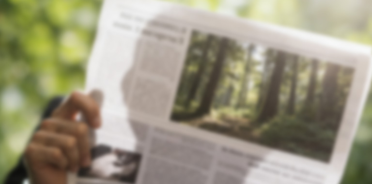 木业公司新闻动态